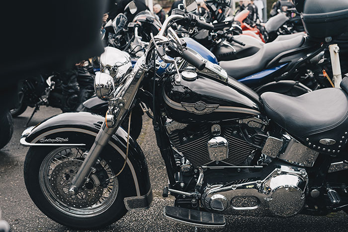 A line of cruiser bikes parked in a row