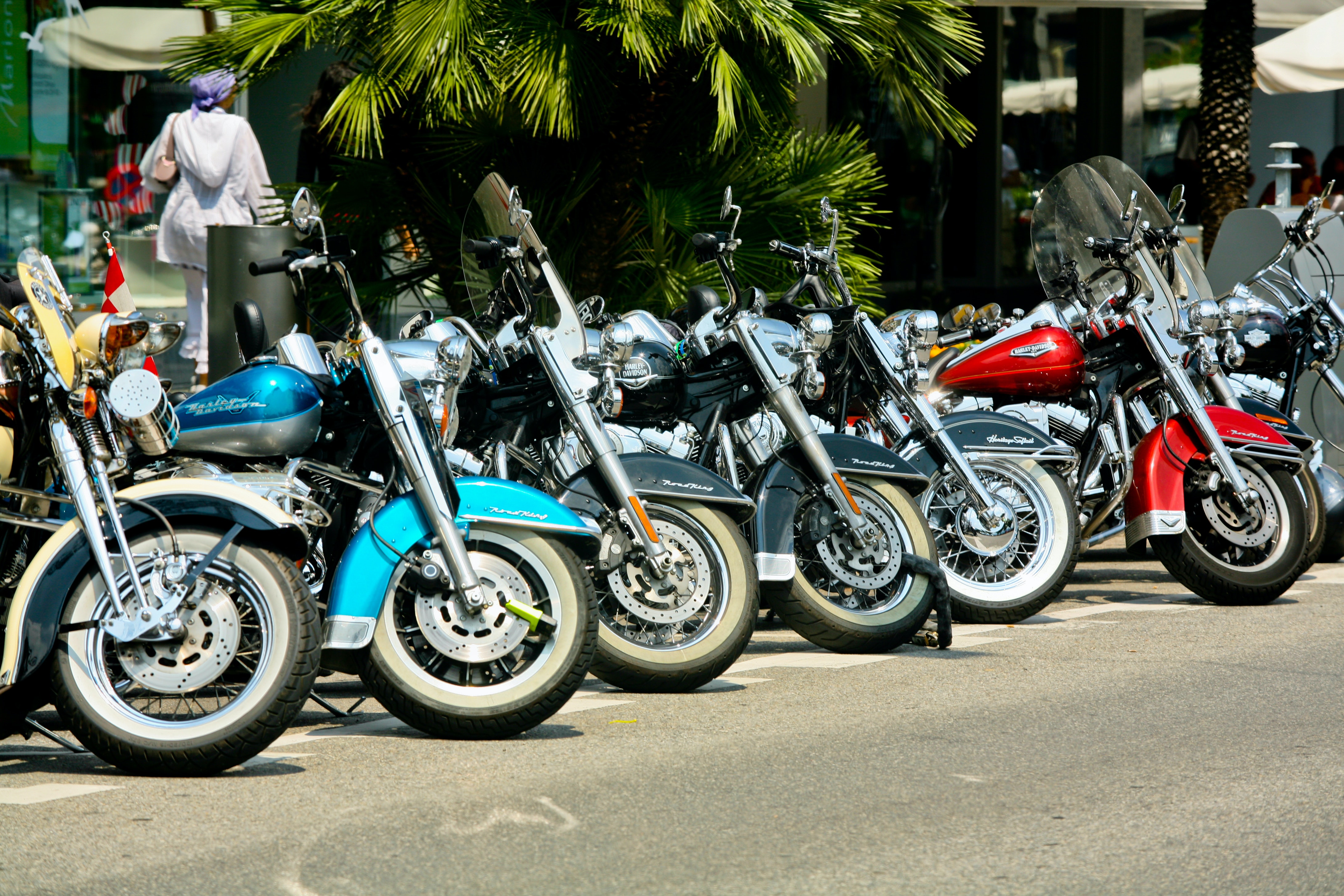 Harley-Davidson motorcycles parked side by side