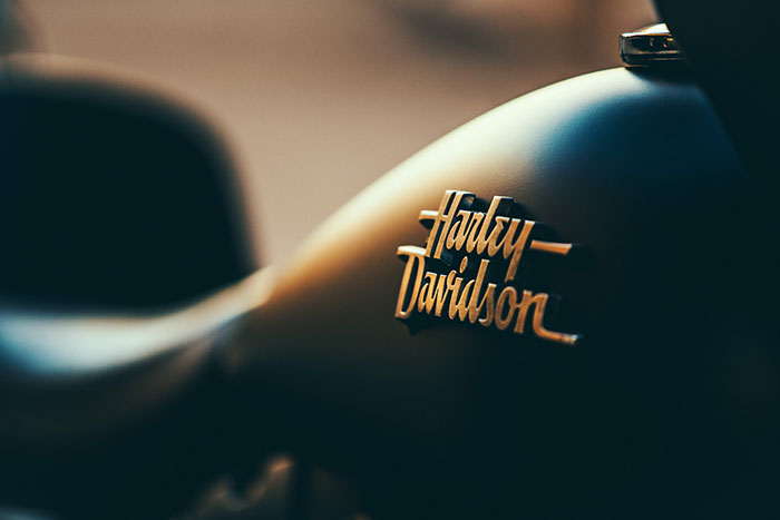 The Harley-Davidson logo on the side of a motorcycle’s gas tank